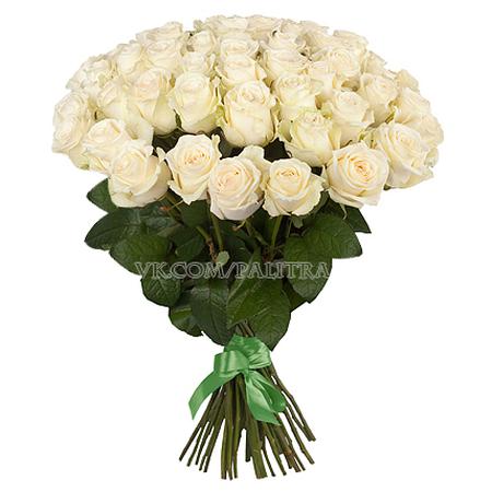 Букет 51 белая роза 70 cv
