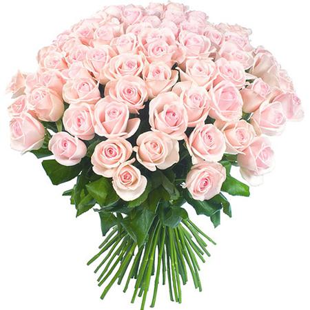 Букет 101 нежно-розовая роза «Лав Анлимитед»