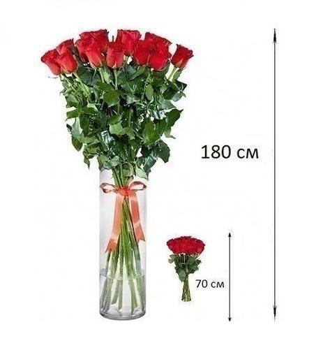 Высокие розы 180 см 101 шт